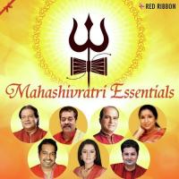 Shiv Tandav Lalitya Munshaw Song Download Mp3