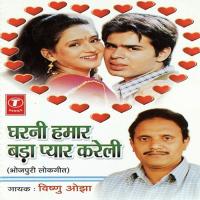 Gharni Hamaar Bada Pyar Kareli songs mp3