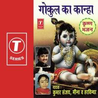 Tujhse Gai Haar Kanhya Kumar Sanu,Meena,Harwindar Song Download Mp3