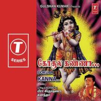 Govindaa Sunanda Devi,Meera Krishna Song Download Mp3