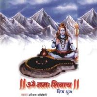 Om Nanah Shivay, 1 Shounak Abhisheki Song Download Mp3
