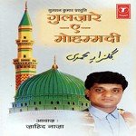 Haazi Ali Ke Dar Pe Jaana Zahid Naza Song Download Mp3