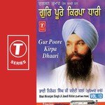 Gur Poore Kirpa Dhaari (Vol. 12) songs mp3