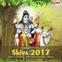 Shiva 2017 songs mp3