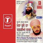 Mera Rusey Na Kalgiyaan Wala Sant Baba Ranjit Singh Ji-Dhadrian Wale Song Download Mp3