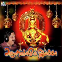 Swamiye Prabhakar Song Download Mp3