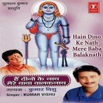 Mere Baba Ki Gufa Pe Kumar Vishu Song Download Mp3