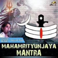 Mahamrityunjaya Mantra Dinesh Mali Song Download Mp3
