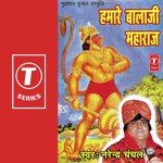 Hamare Bala Ji Maharaj Narendra Chanchal Song Download Mp3