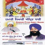Hamaari Piyari Amrit Dhaari Bhai Joginder Singh Reyad Song Download Mp3