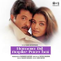 I Love You Hema Sardesai,Anil Kapoor,Sonali Bendre Song Download Mp3