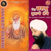 Eh Janam Tumare Lekhe (Shabad Gurbani) songs mp3