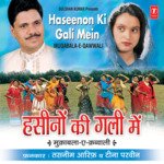 Main Tujhe Pyar Karna Sikha Doon Aarif Khan,Tina Parveen,Tasneem Song Download Mp3