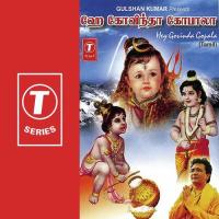 Hey Govinda Gopala songs mp3