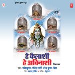 Hey Kailashi Hey Avinashi Narendra Kumar Song Download Mp3