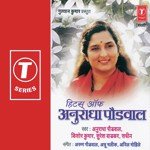 Hits Of Anuradha Paudwal songs mp3