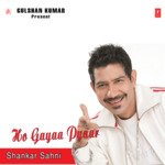 Ho Gayaa Pyaar songs mp3
