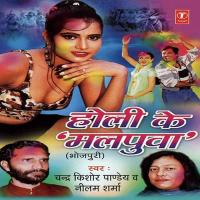 Holi Ka Malpuwa songs mp3