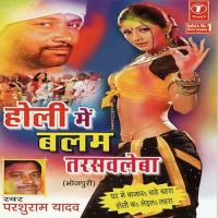 Holi Mein Balam Tarslebaa songs mp3