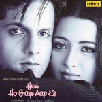 Hum Ko Gaye Aap Ke (Instrumental) Nadeem-Shravan Song Download Mp3