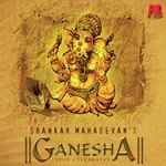 Mharo Mann Laagyo - Tribute From Gujrat Shankar Mahadevan Song Download Mp3