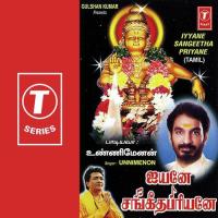 Kaayatha Kaanakatthe Unni Menon Song Download Mp3