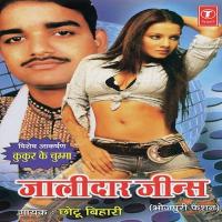 Dil Se Tohaar Hamna Hoib Chhotu Bihari Song Download Mp3