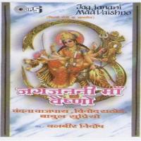 Maa Saarey Jag Vinod Rathod,Vandana Bajpai Song Download Mp3