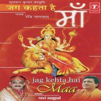 Jag Kahta Hai Maa Ravi Nagpal Song Download Mp3
