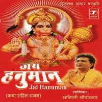 Jai Hanuman (Katha Sahit Bhajan) Shaalini Shrivastava Song Download Mp3
