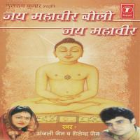 Jai Mahaveer Bolo Jai Mahaveer songs mp3