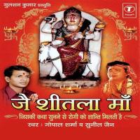 Sheetala Ashtami Chaetar Krishan Ke Sunil Jain,Gopal Sharma Song Download Mp3