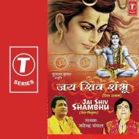 Jai Shiv Shambhu songs mp3