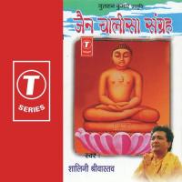 Jain Chalisa Sangrah songs mp3