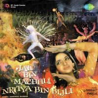 Jalbin Machhli Nrityabin Bijli songs mp3