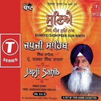 Sunei Sara Guna Ke Gaah (Podi-11) Prof. Darshan Singh Ji Khalsa Song Download Mp3