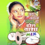 Java Navin Popat Ha - Dhol Tasha Mix songs mp3