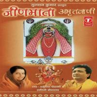 Jeenmata Amritwani songs mp3