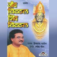Aanandane Naachat Pandhrisi Shivanand Patil Song Download Mp3
