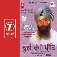 Jhoothi Dekhi Preet (Vol. 29) songs mp3