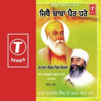 Jitthey Baba Pair Dhare (Vol. 66) songs mp3