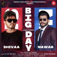 Big Day Nawab ,Shivaa Song Download Mp3