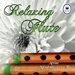 Relaxing Flute songs mp3