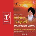 Kaali Koyal Tu Kit Gun Kaali (Vol. 10) songs mp3