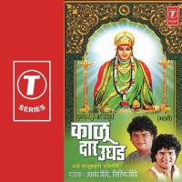 Aayee Chapyachya Jhadawar Milind Shinde Song Download Mp3