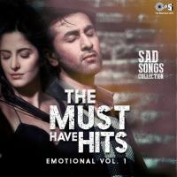 The Must Have Hits - Emotional  Vol. 1 songs mp3