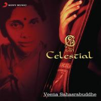 Peeyarawa Aao (Drut Teental) Veena Sahasrabuddhe Song Download Mp3