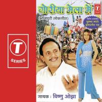 Hade Hardi Lagla Bina Vishnu Ojha Song Download Mp3