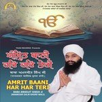 Amrit Baani Har Har Teri Baba Amarjit Singh Ji (Nanaksar Galib Khurd Wale) Song Download Mp3