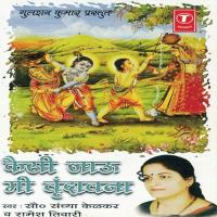 Nako Wajvu Pawa Sandhya Kelkar,Ramesh Tiwari Song Download Mp3